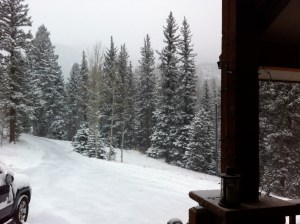 It snowed just in time for a white Christmas.