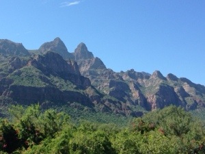 Green Baja Mountains