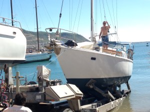 Boat back in the water